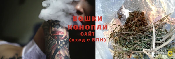 a pvp Гусь-Хрустальный