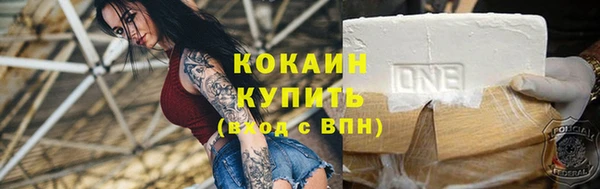 спиды Гусев