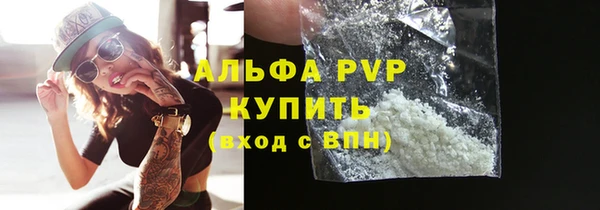 спиды Гусев