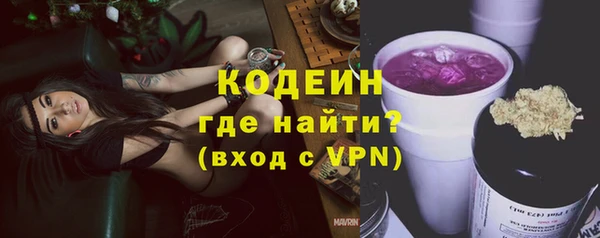 спиды Гусев