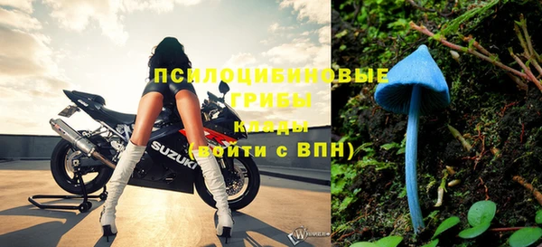спиды Гусев