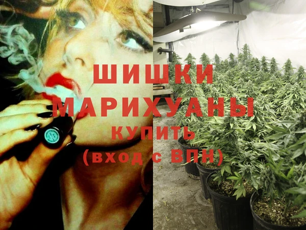 спиды Гусев