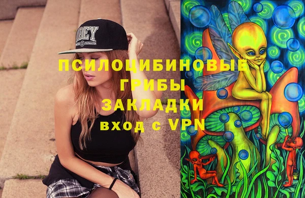 a pvp Гусь-Хрустальный