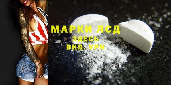 спиды Гусев