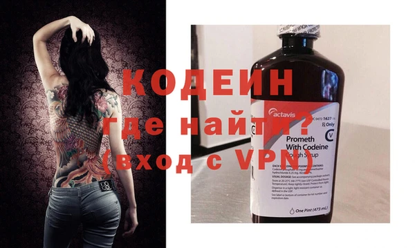 спиды Гусев